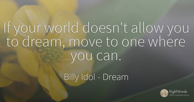 If your world doesn't allow you to dream, move to one... - Billy Idol, quote about dream, world