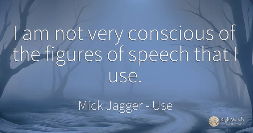 I am not very conscious of the figures of speech that I use. - Mick Jagger, quote about use