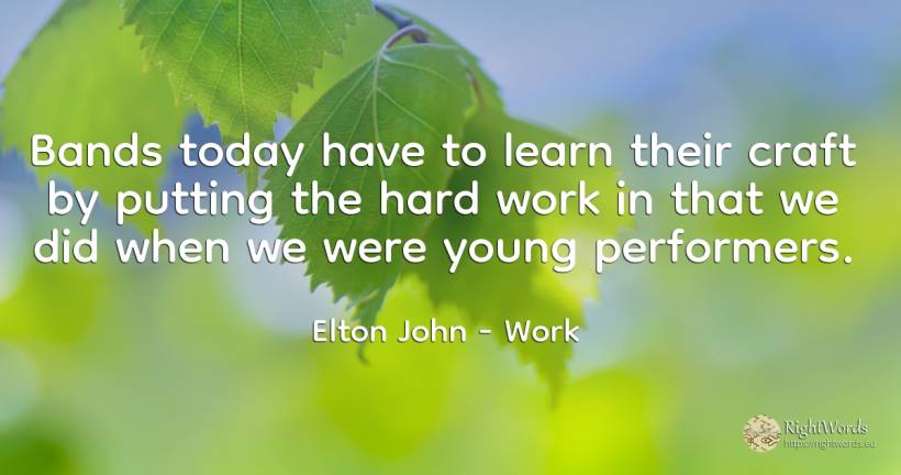 Bands today have to learn their craft by putting the hard... - Elton John, quote about work