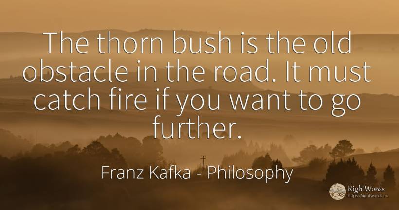 The thorn bush is the old obstacle in the road. It must... - Franz Kafka, quote about philosophy, obstacles, fire, fire brigade, old, olderness