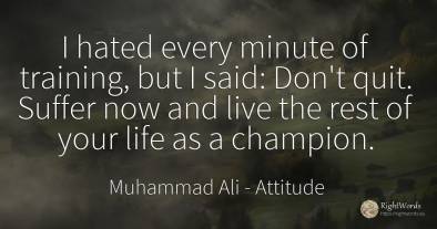 I hated every minute of training, but I said: Don't quit....