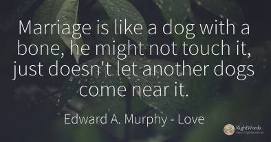 Marriage is like a dog with a bone, he might not touch...