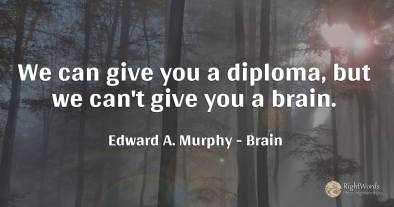 We can give you a diploma, but we can't give you a brain.