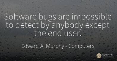 Software bugs are impossible to detect by anybody except...