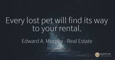 Every lost pet will find its way to your rental.