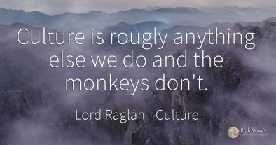 Culture is rougly anything else we do and the monkeys don't.