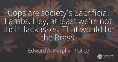 Cops are society's Sacrificial Lambs. Hey, at least we're...