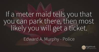 If a meter maid tells you that you can park there, then...