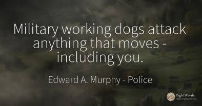 Military working dogs attack anything that moves -...