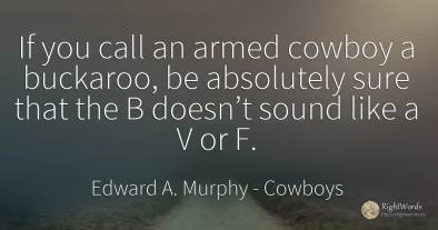 If you call an armed cowboy a buckaroo, be absolutely...