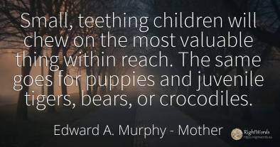 Small, teething children will chew on the most valuable...