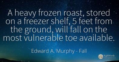 A heavy frozen roast, stored on a freezer shelf, 5 feet...