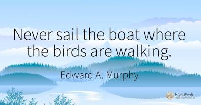 Never sail the boat where the birds are walking.