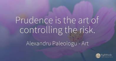 Prudence is the art of controlling the risk.