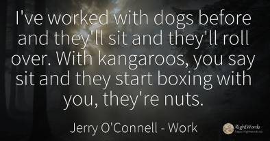 I've worked with dogs before and they'll sit and they'll...