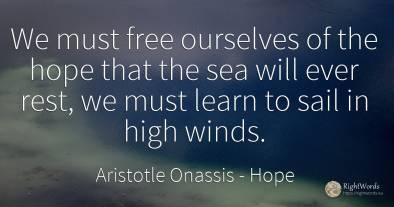 We must free ourselves of the hope that the sea will ever...