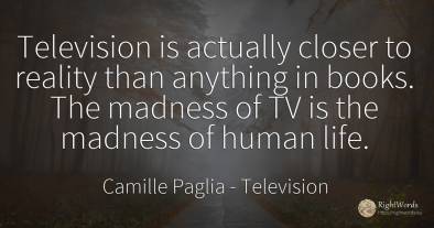 Television is actually closer to reality than anything in...