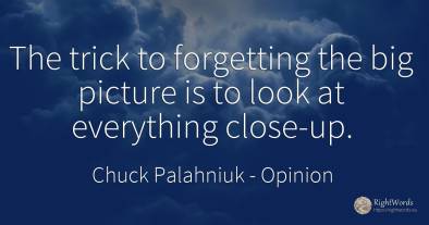 The trick to forgetting the big picture is to look at...