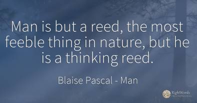 Man is but a reed, the most feeble thing in nature, but...