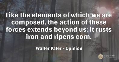 Like the elements of which we are composed, the action of...