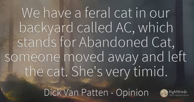 We have a feral cat in our backyard called AC, which...