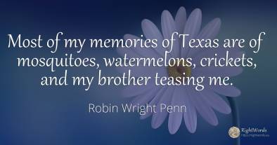 Most of my memories of Texas are of mosquitoes, ...
