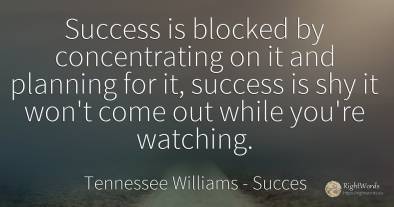 Success is blocked by concentrating on it and planning...