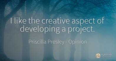 I like the creative aspect of developing a project.