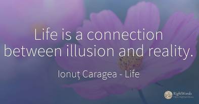 Life is a connection between illusion and reality.