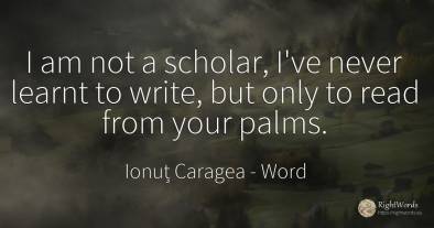 I am not a scholar, I've never learnt to write, but only...