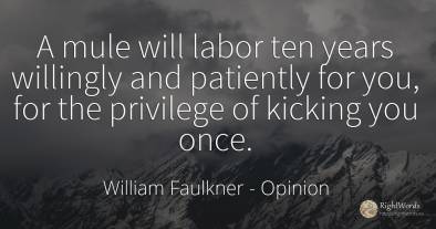 A mule will labor ten years willingly and patiently for...