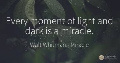 Every moment of light and dark is a miracle.