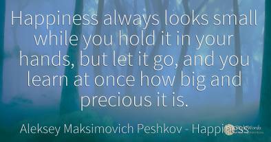 Happiness always looks small while you hold it in your...