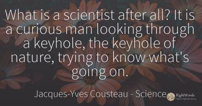 What is a scientist after all? It is a curious man...