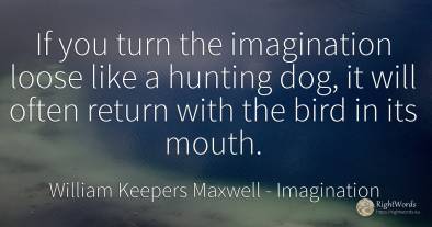 If you turn the imagination loose like a hunting dog, it...