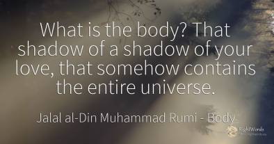 What is the body? That shadow of a shadow of your love, ...