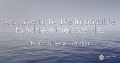 You have to try the impossible to achieve the possible.