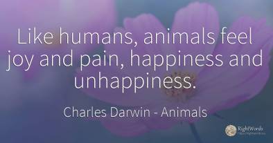 Like humans, animals feel joy and pain, happiness and...