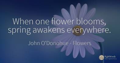 When one flower blooms, spring awakens everywhere.