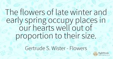 The flowers of late winter and early spring occupy places...