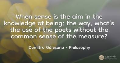 When sense is the aim in the knowledge of being: the way, ...