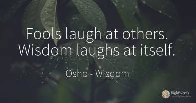 Fools laugh at others. Wisdom laughs at itself.