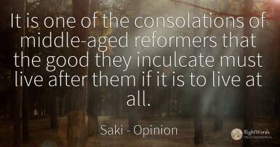 It is one of the consolations of middle-aged reformers...