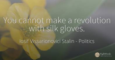 You cannot make a revolution with silk gloves.