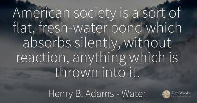American society is a sort of flat, fresh-water pond...
