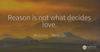 Reason is not what decides love.
