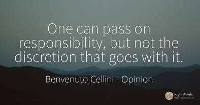 One can pass on responsibility, but not the discretion...