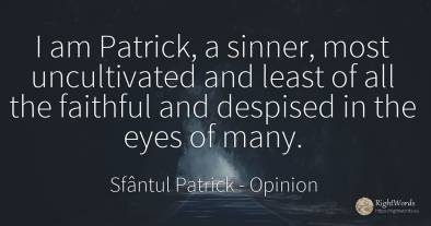 I am Patrick, a sinner, most uncultivated and least of...