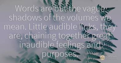 Words are but the vague shadows of the volumes we mean....