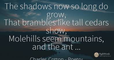The shadows now so long do grow, That brambles like tall...